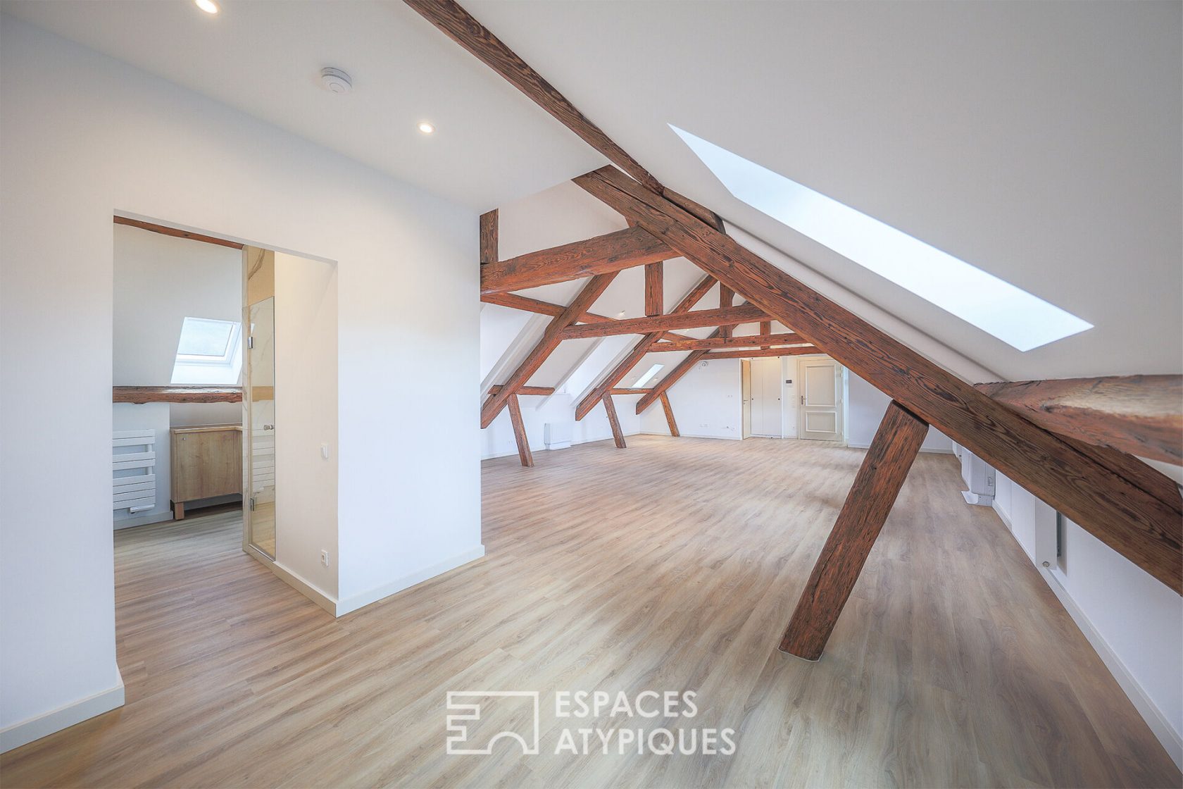 Attic with exposed roofing framework