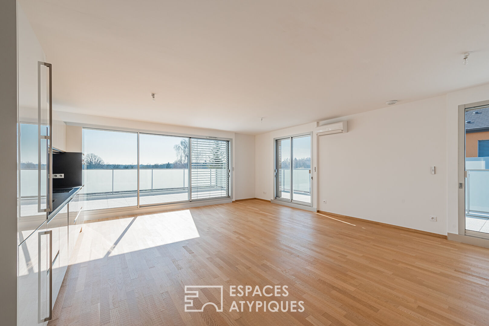 Penthouse with terrace and view of the Vosges mountains