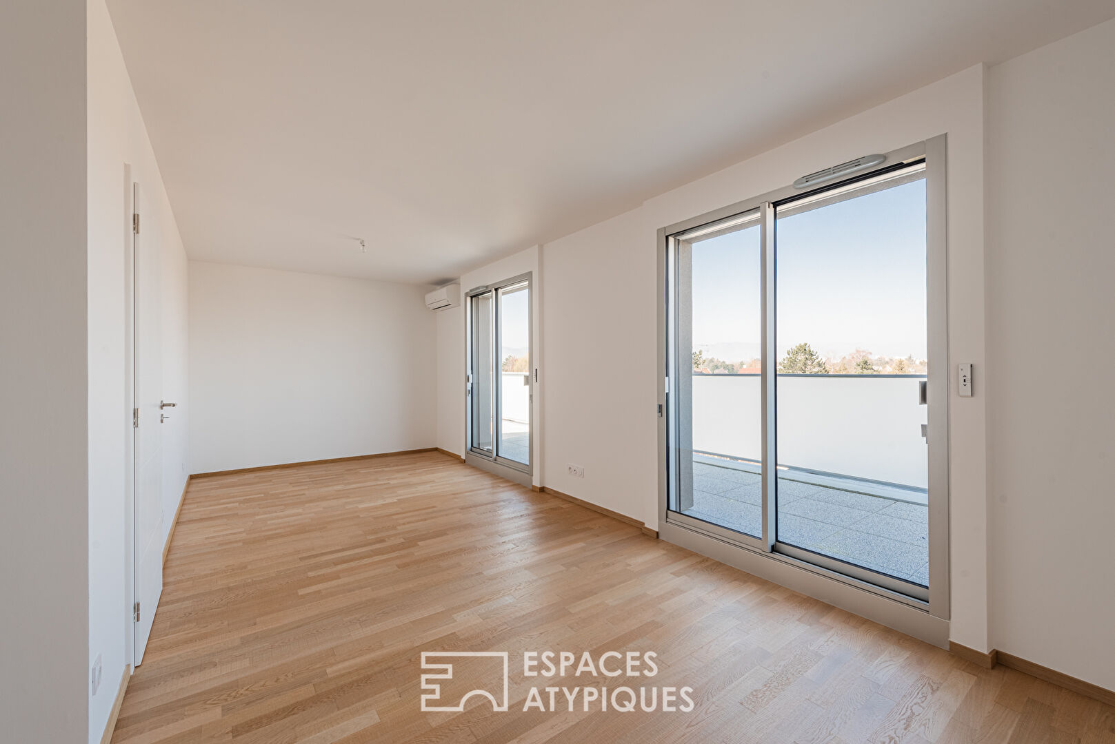 Penthouse with terrace and view of the Vosges mountains