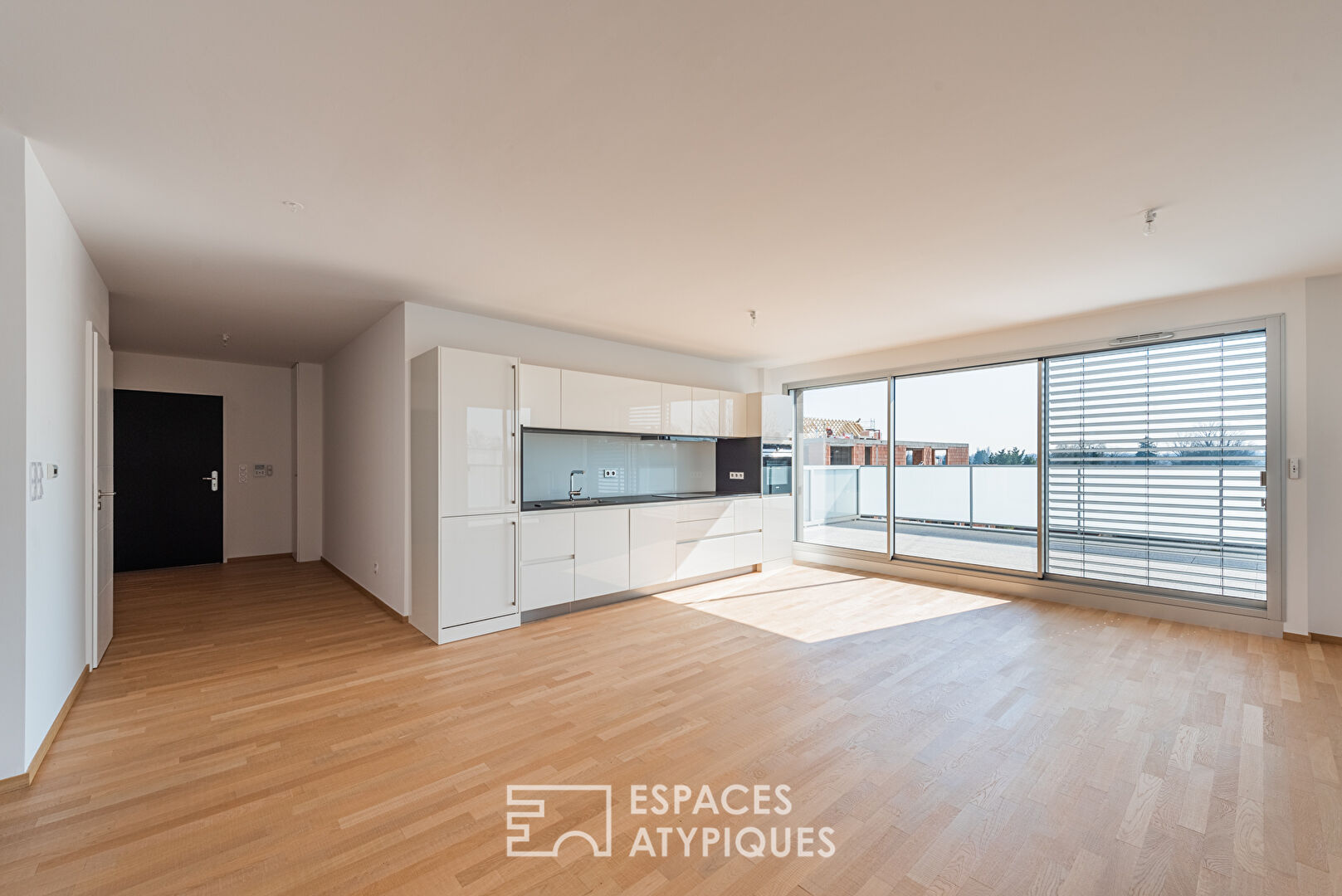 Penthouse with terrace and view of the Vosges mountains