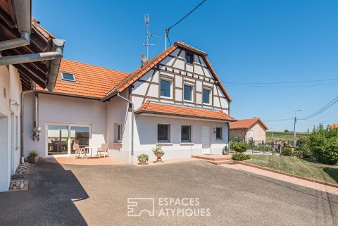 Renovated farmhouse with swimming pool