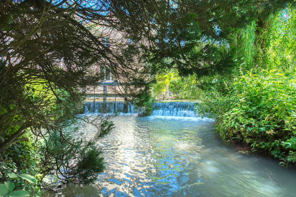 Ancien moulin à revisiter et son île