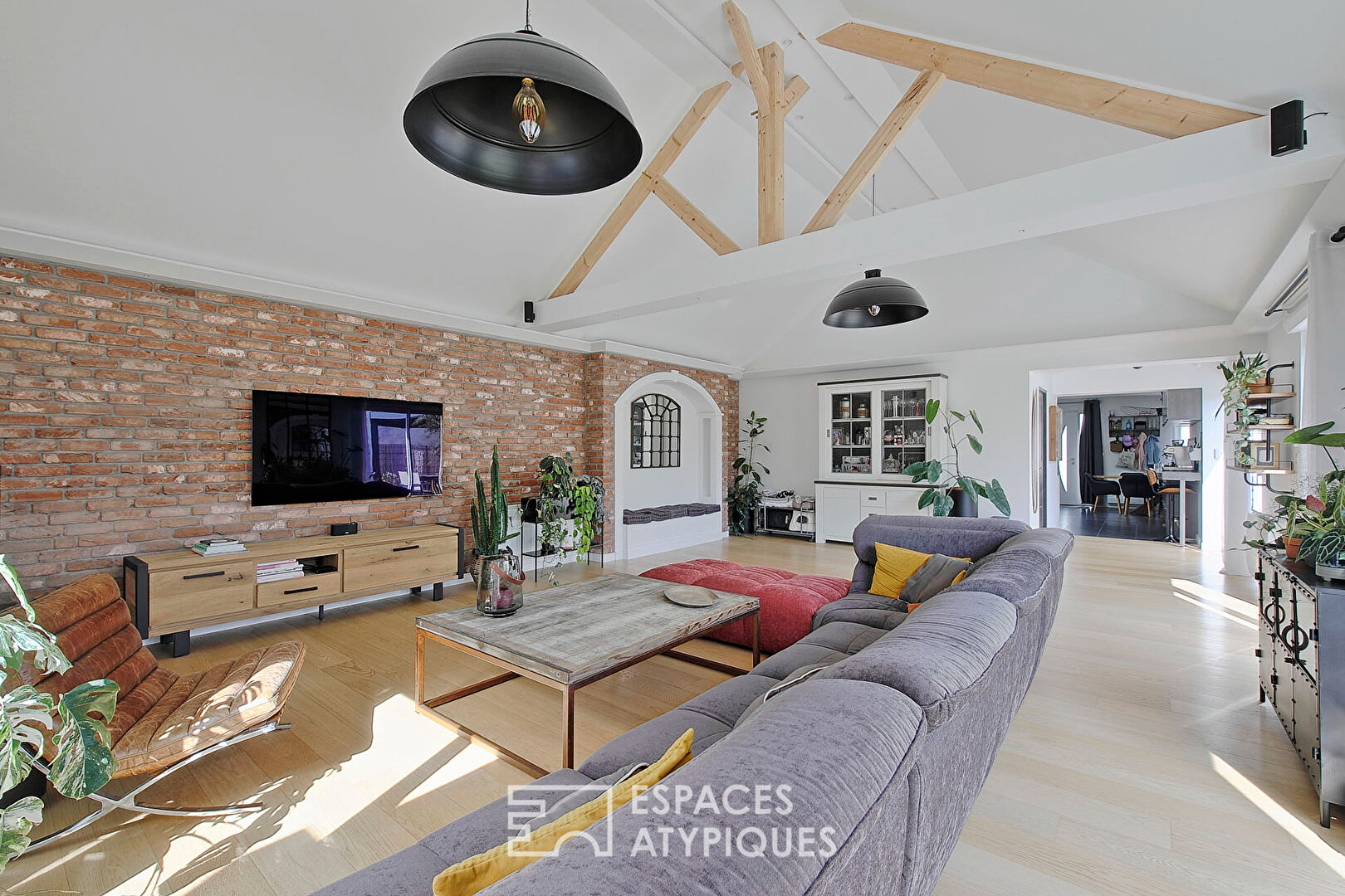 Contemporary single-storey house with garden