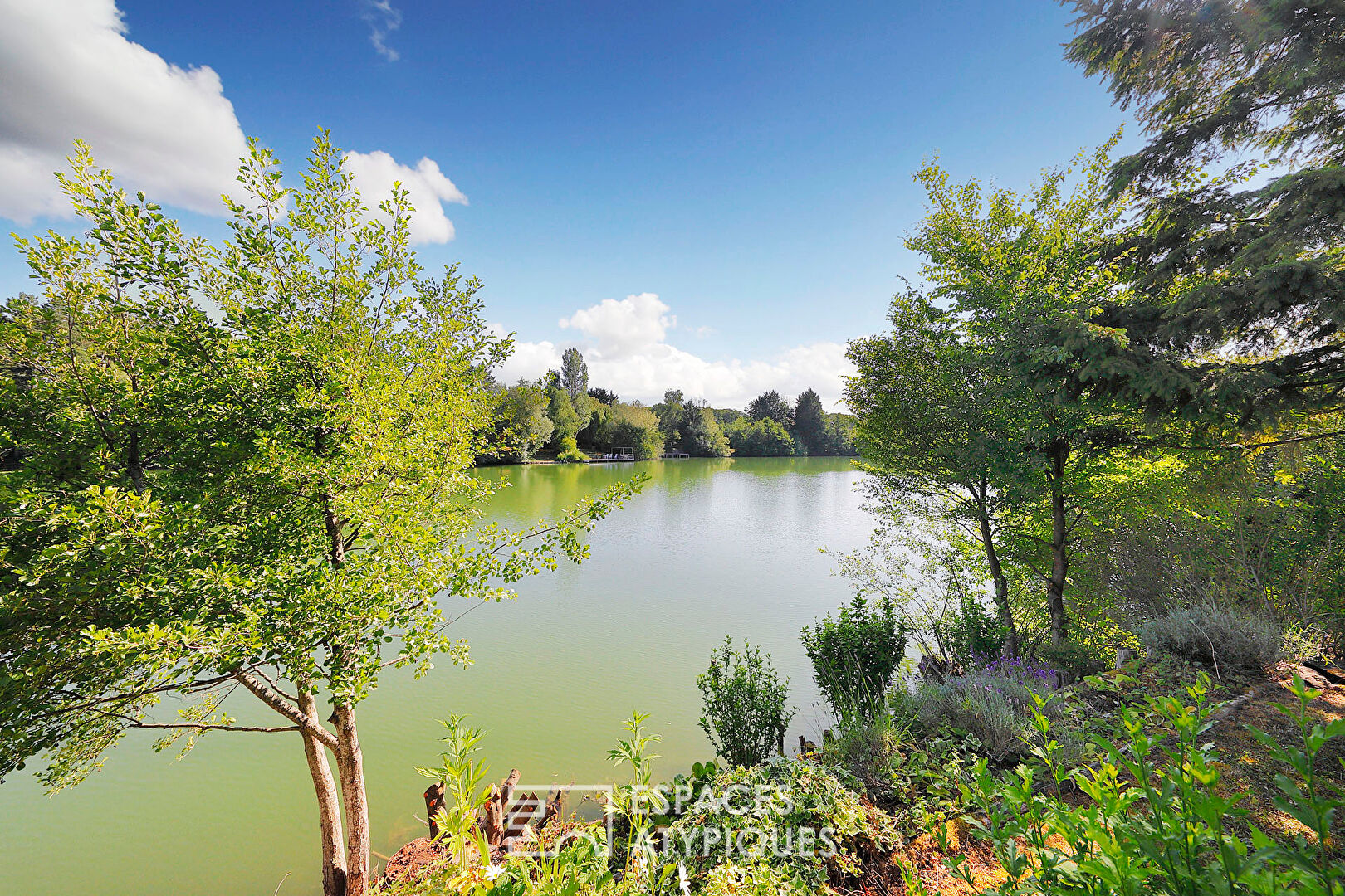 Chalet en bois avec terrasse et vue lac