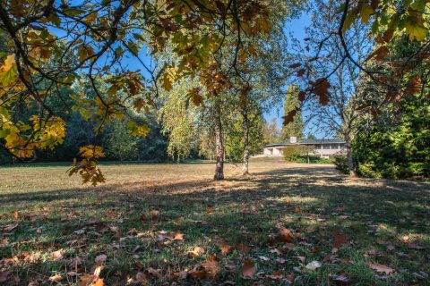 Maison d’architecte des années 70 et son parc paysager