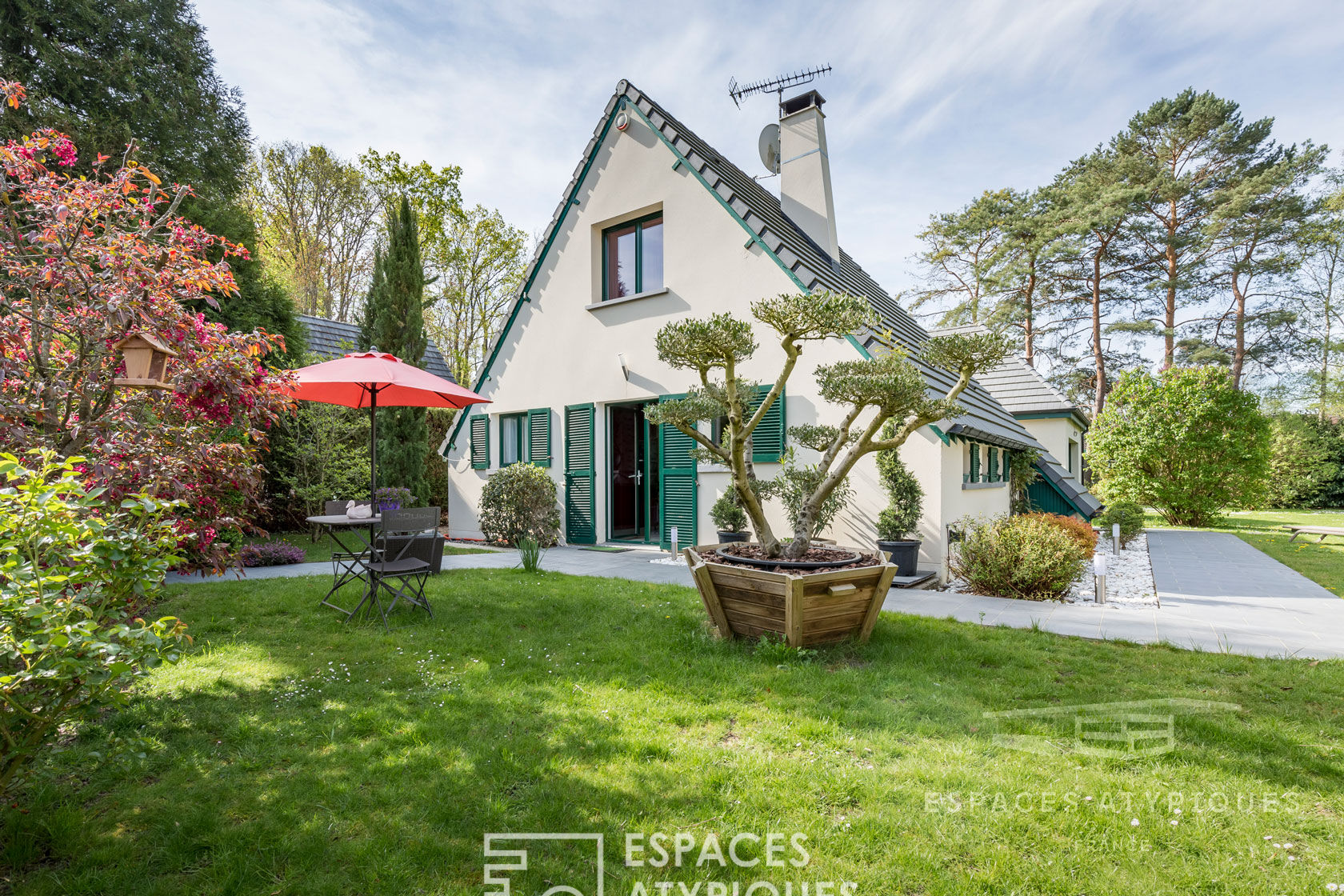 House with contemporary extension and garden