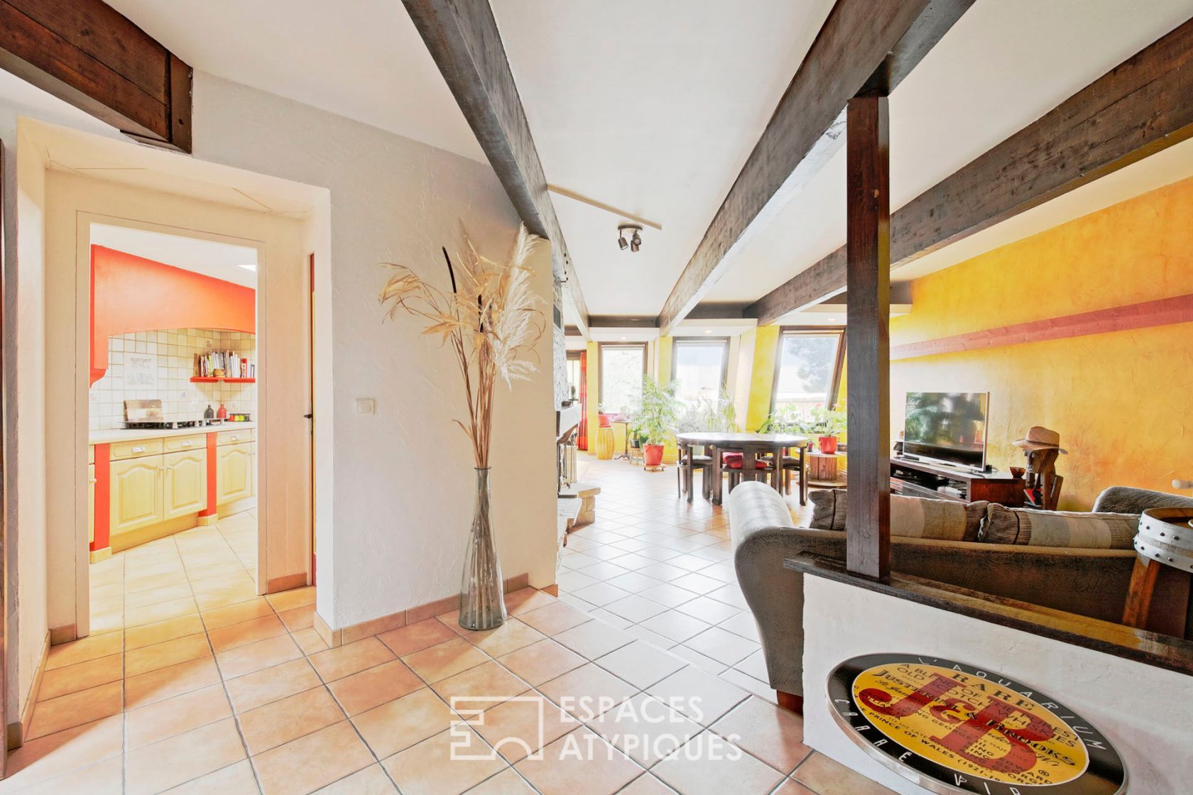 family architect house with garden