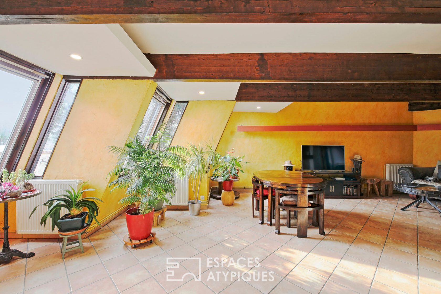 family architect house with garden