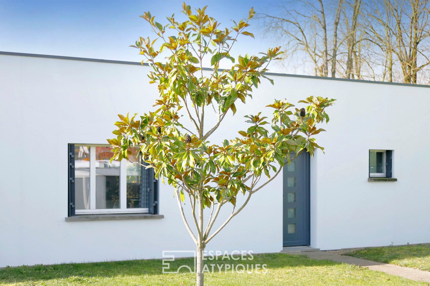 Contemporary loft style house with garden