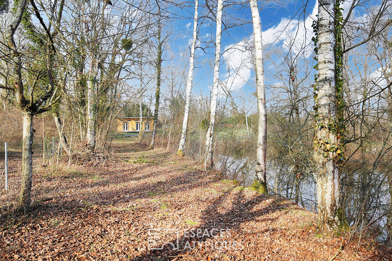 Chalet with its private pond and its wooded land