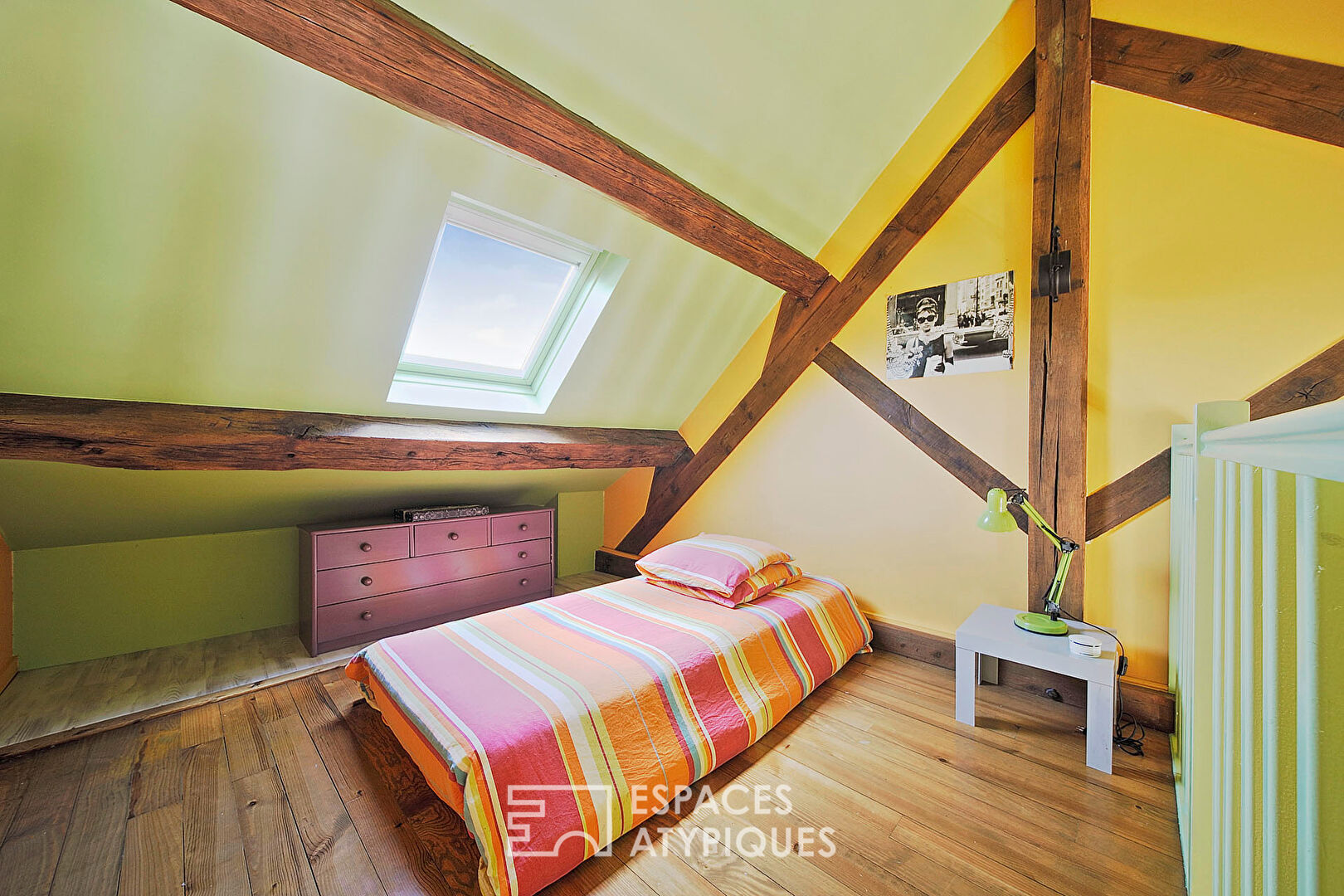 Charming renovated Briarde house and its garden