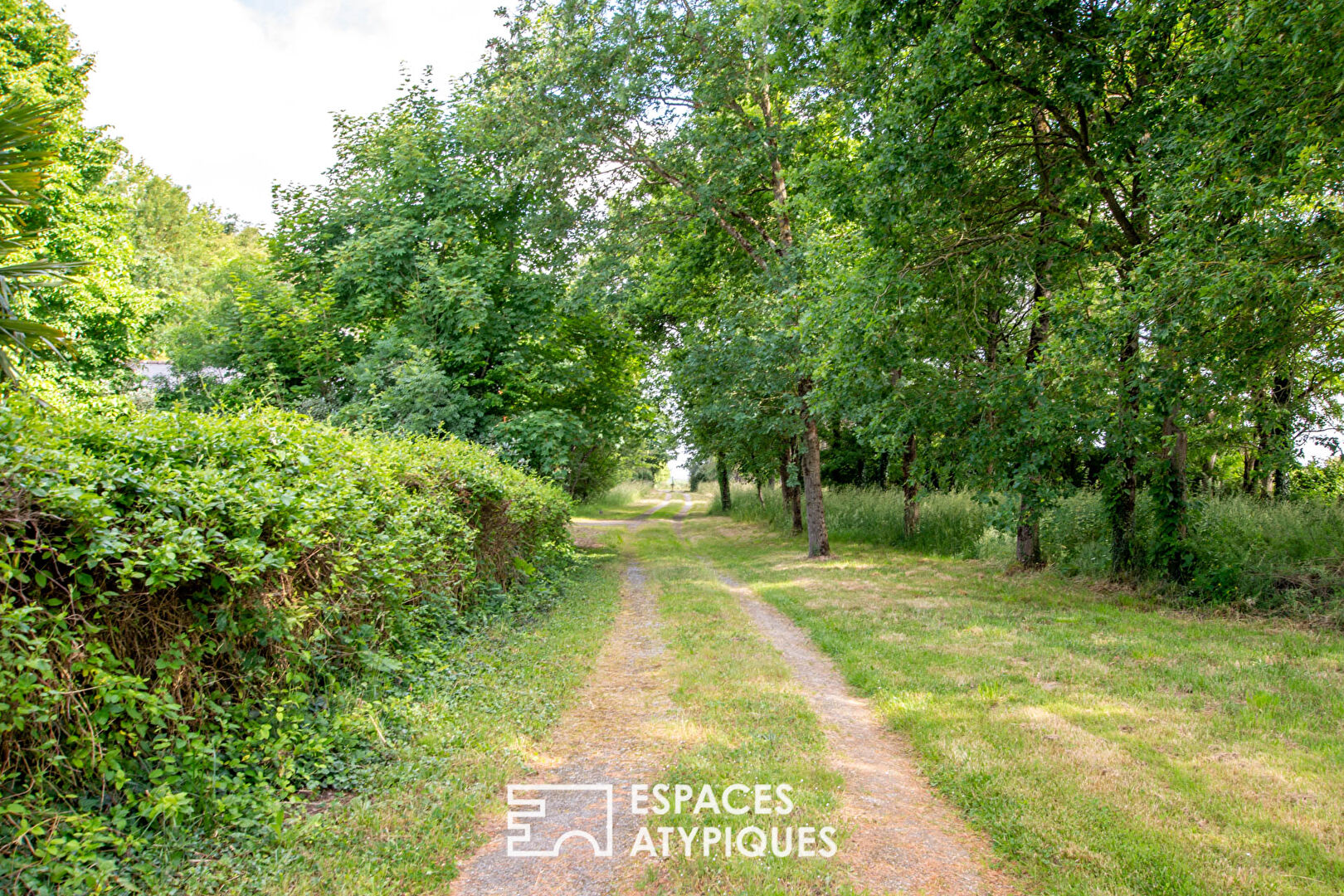 Propriété de 3 hectares en pleine nature