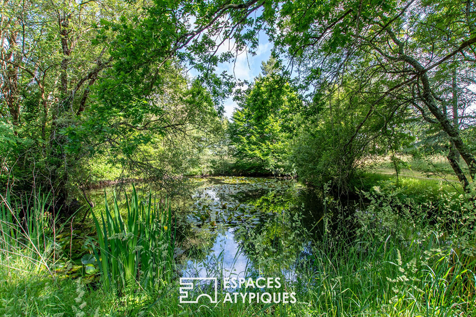 Propriété de 3 hectares en pleine nature
