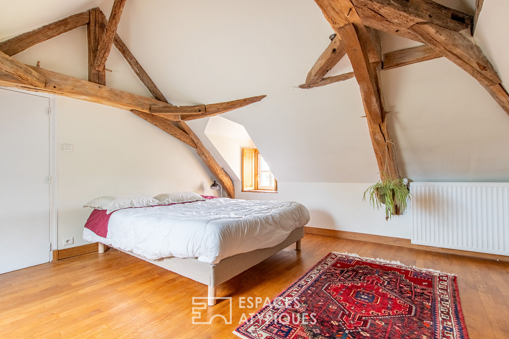 Renovated farmhouse and swimming pool