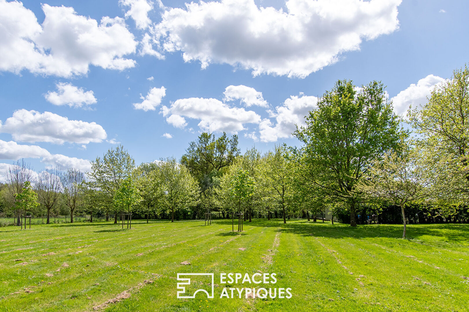 Authentic and charming farmhouse in a peaceful location