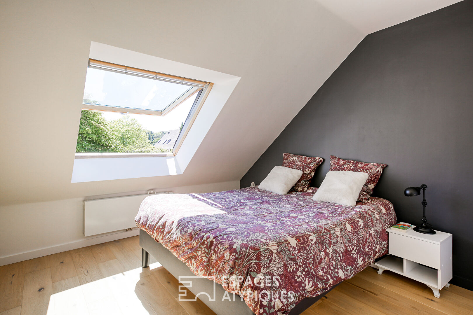 Modern house with swimming pool and large garden