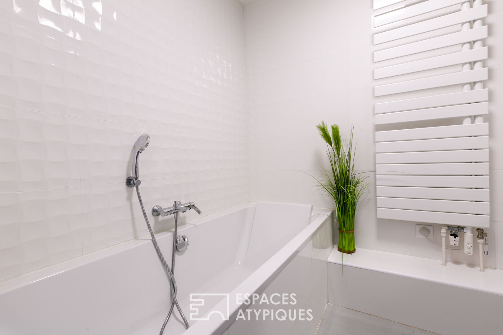 Modern house with swimming pool and large garden