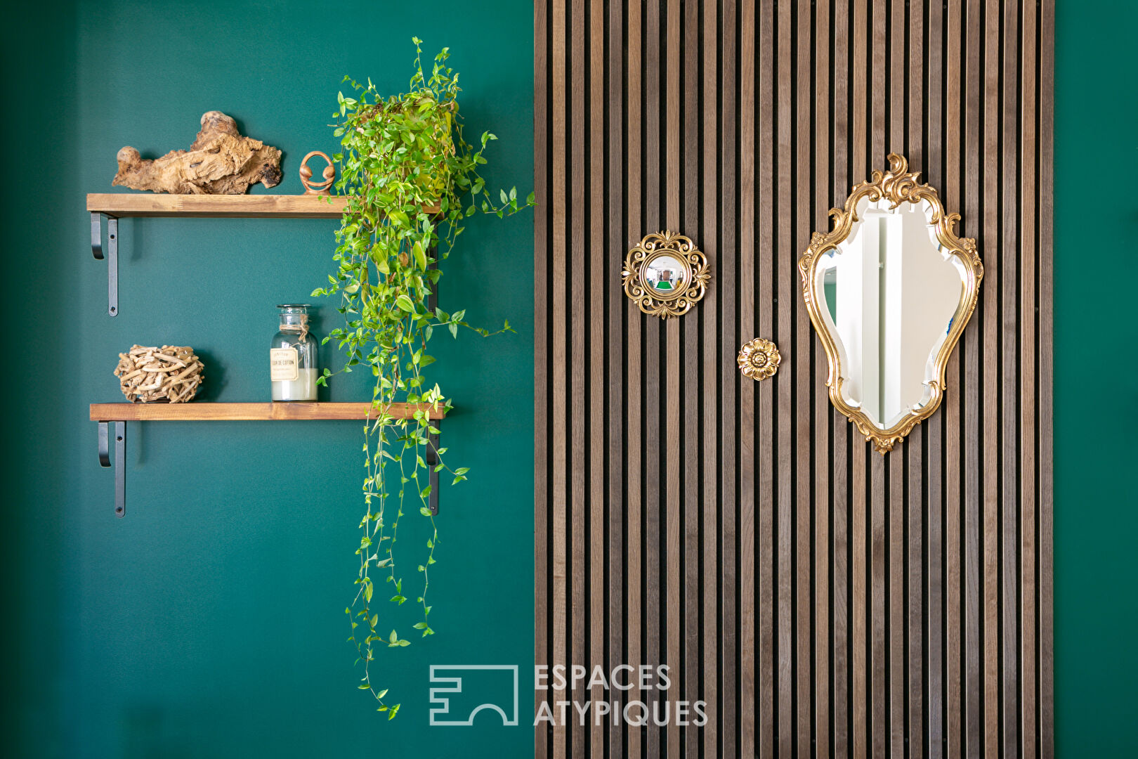 Modern house with swimming pool and large garden