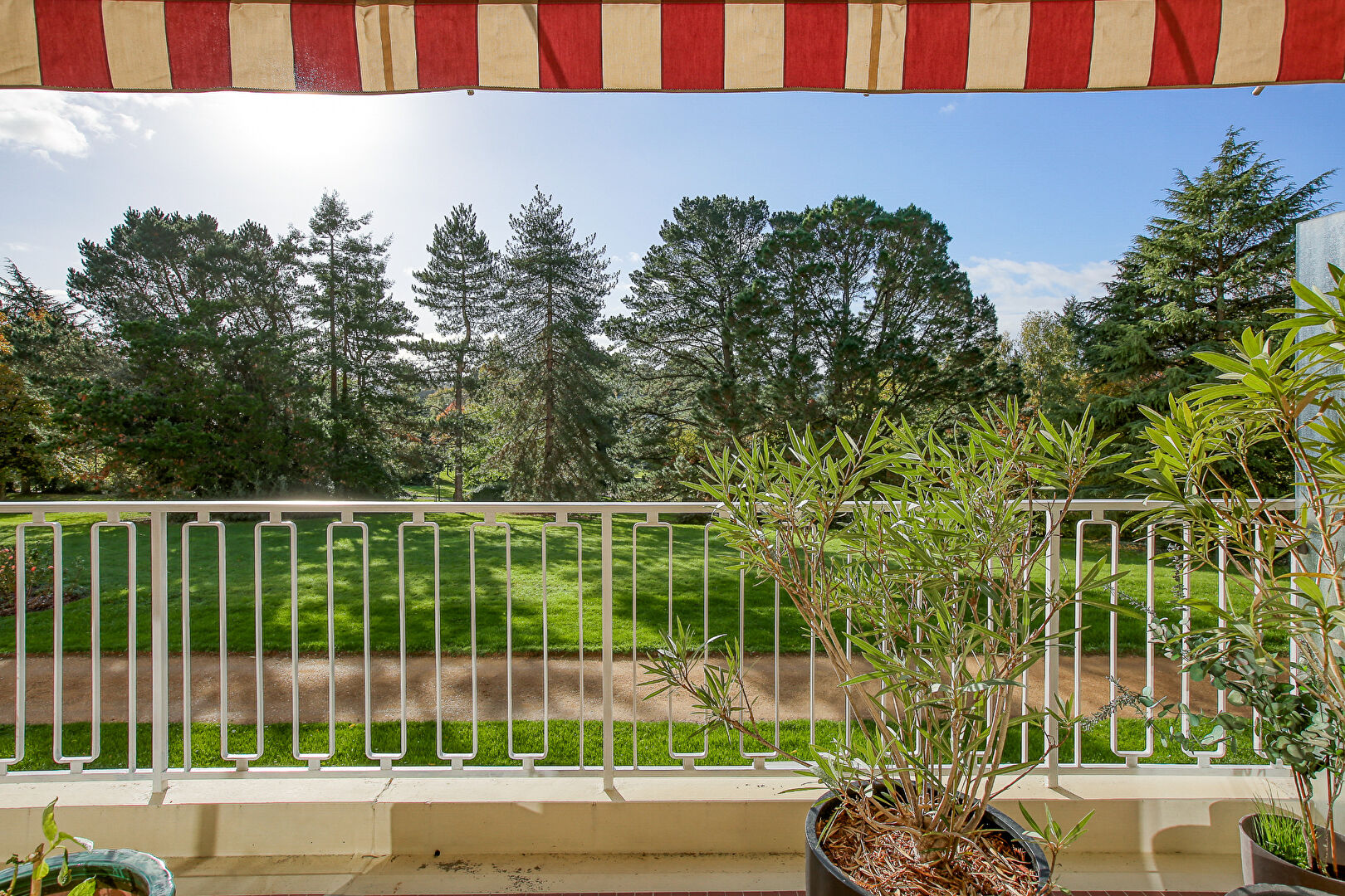 Appartement niché au sein de la canopée angevine