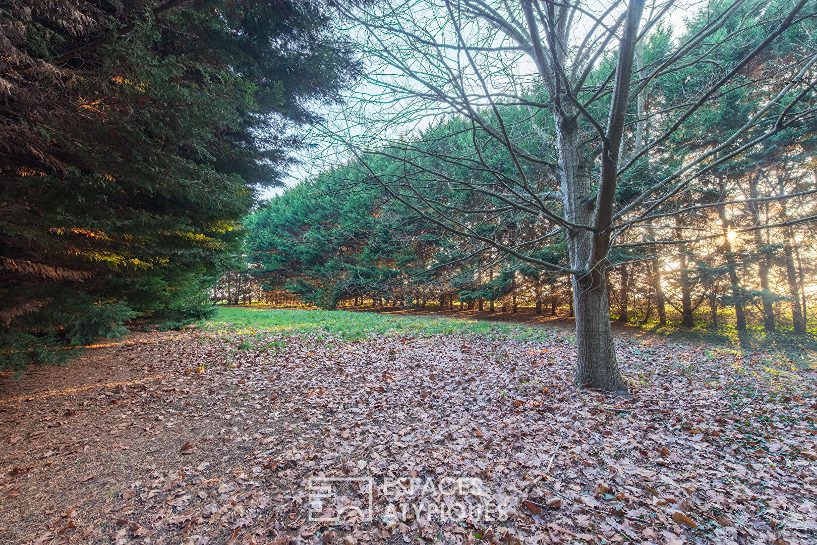 Charming property with swimming pool and landscaped grounds