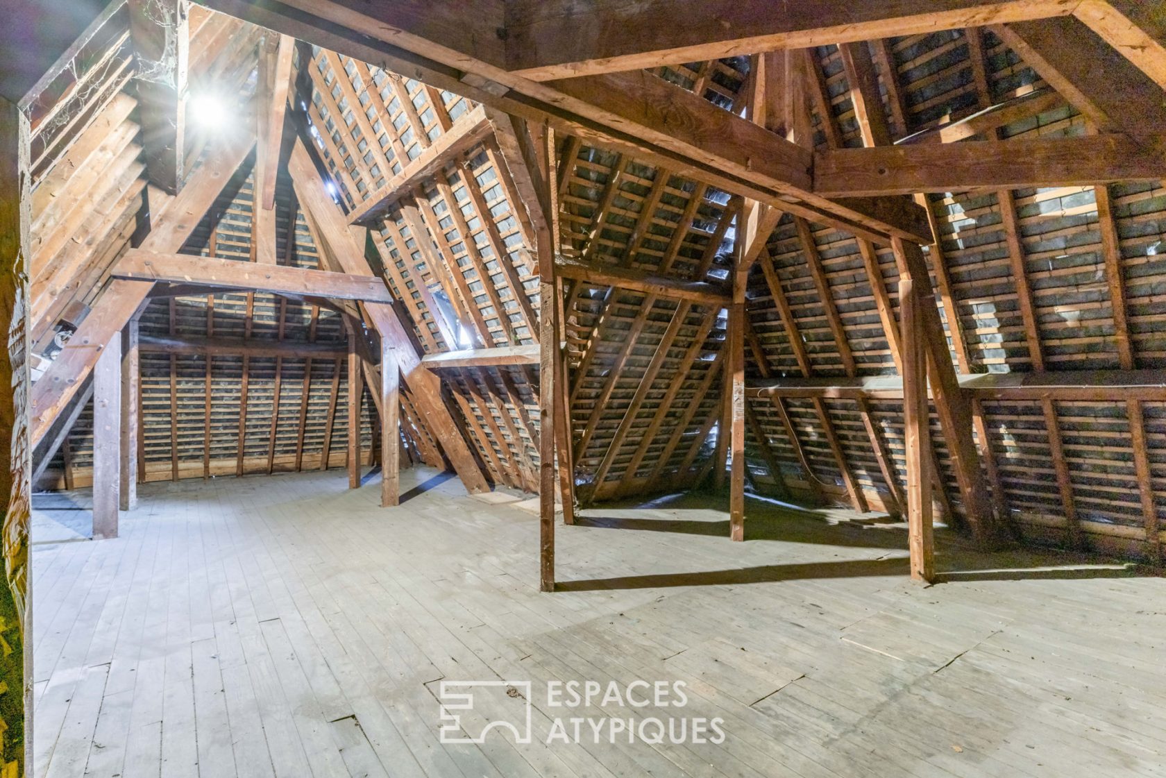 L’élégance : quand l’authenticité côtoie la lumière