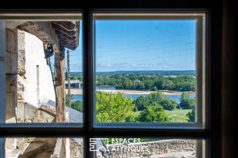 Semi-troglodyte house with garden and Loire view