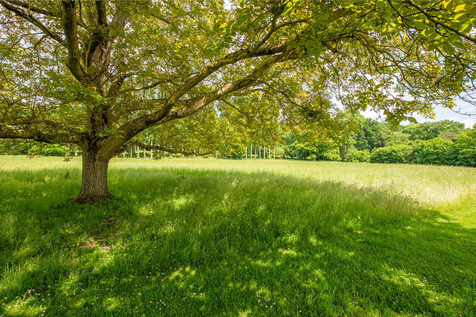 Normande de charme et ses dépendances dans l’un des plus beaux villages de France