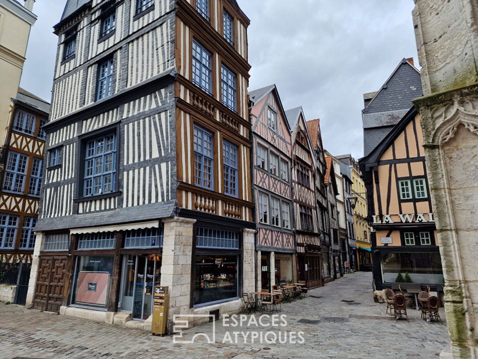 Appartement en duplex quartier des Antiquaires