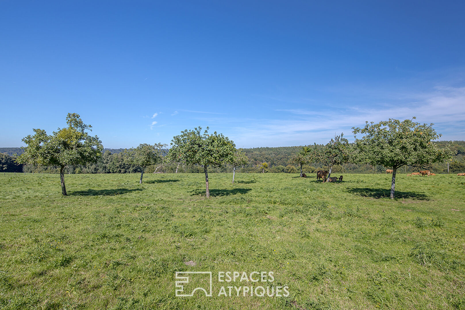 Contemporaine normande sur terrain paysager