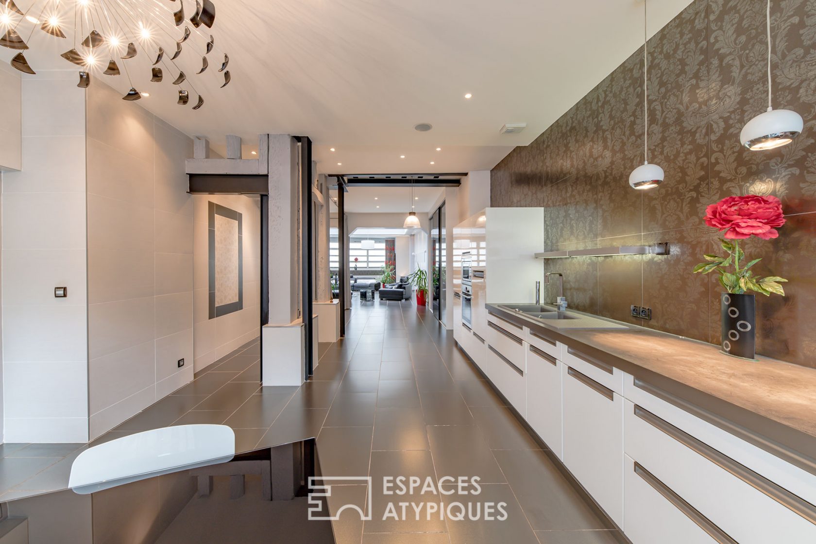 Loft avec skydome en centre ville