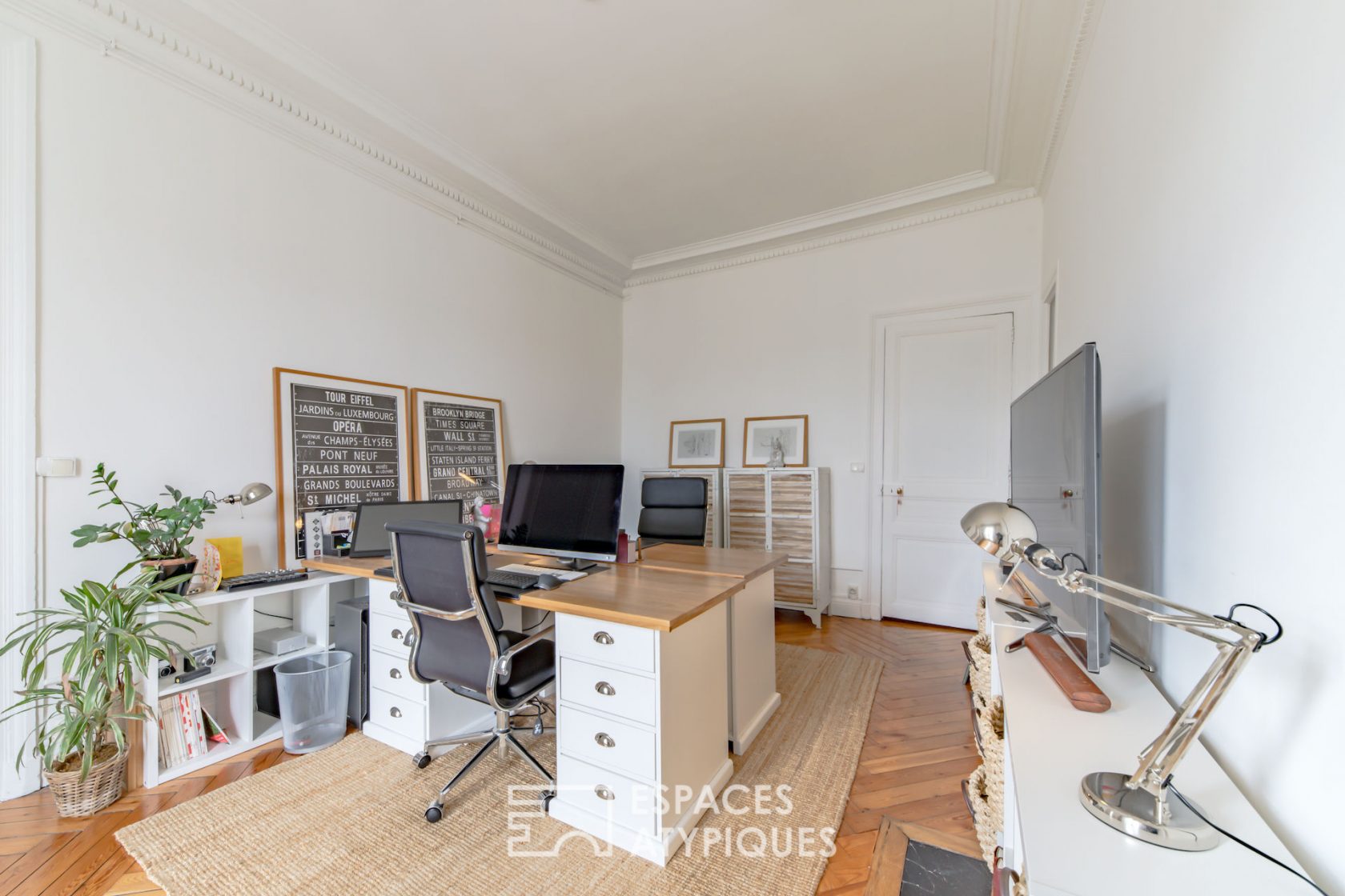 Haussmannian apartment with a view
