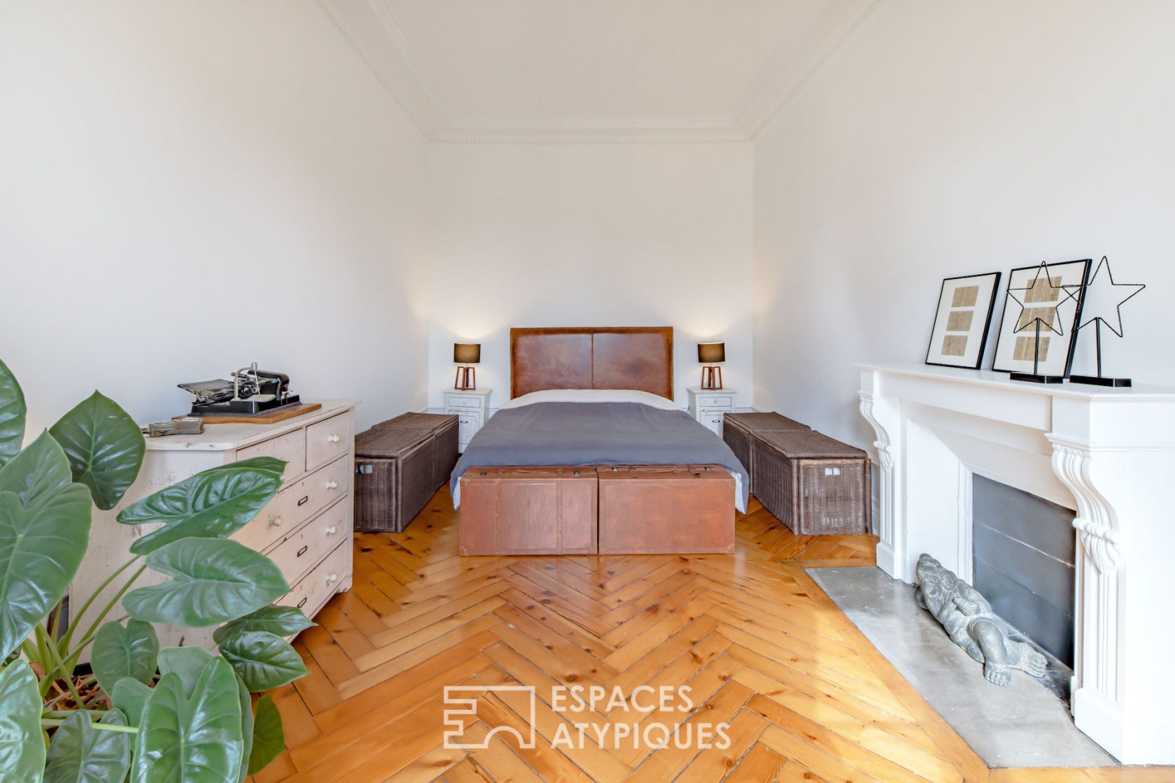 Haussmannian apartment with a view