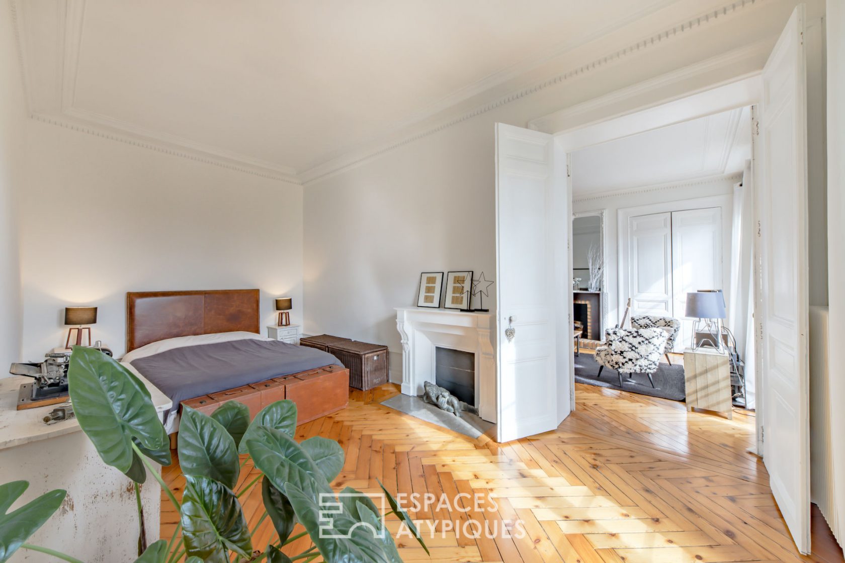 Haussmannian apartment with a view