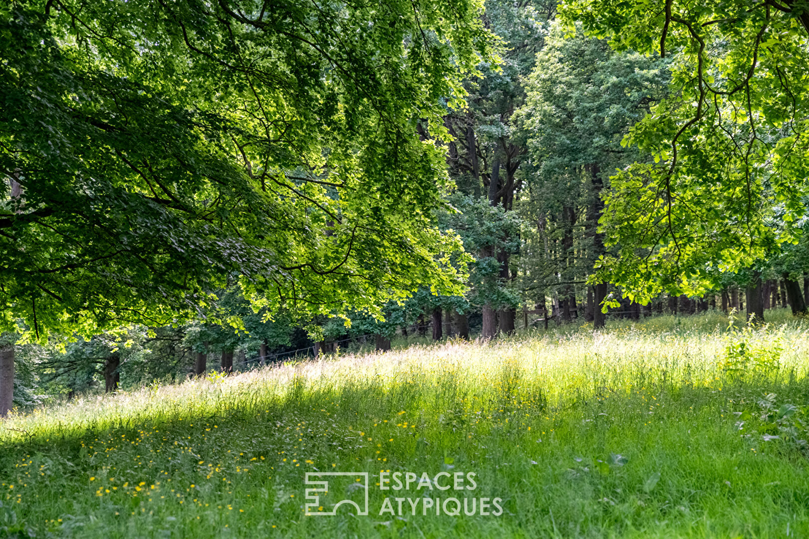 Norman house surrounded by nature and its outbuildings