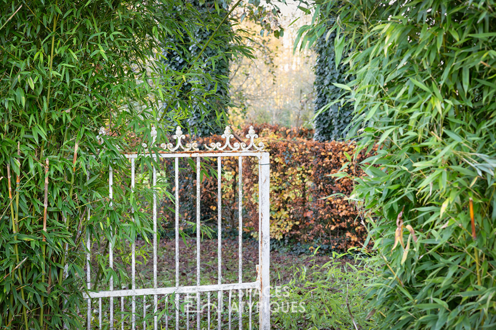 Renovated 1967 house and its two outbuildings on its landscaped park
