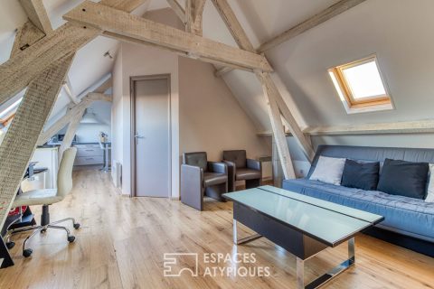 Le petit cocoon – Attic top floor in a sought-after area
