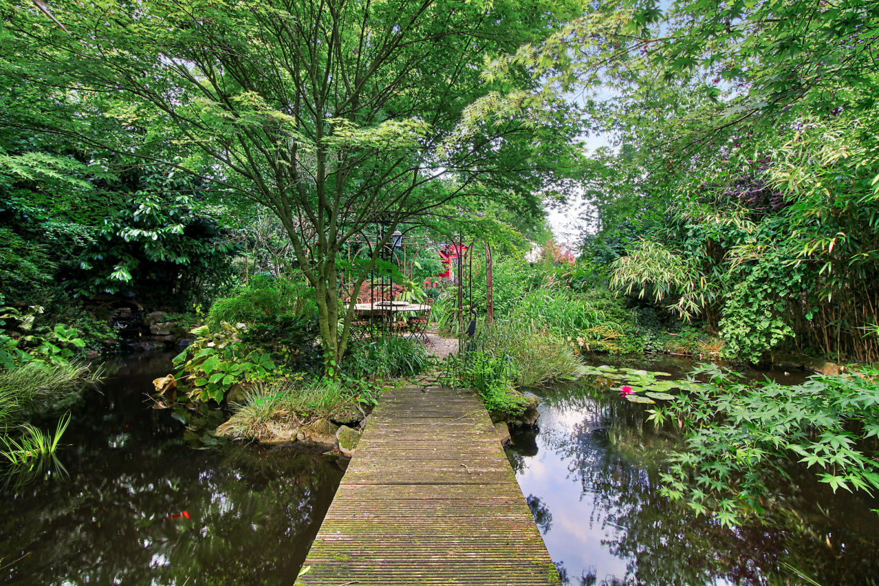 Sur les traces de Beatrix Potter