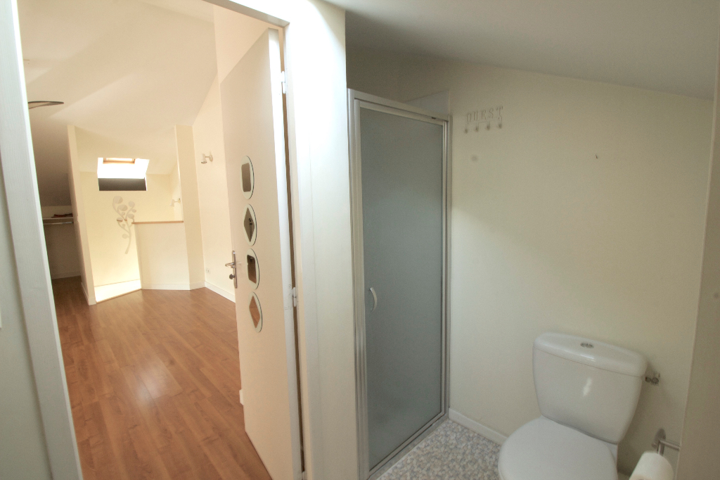 Loft en duplex avec terrasse