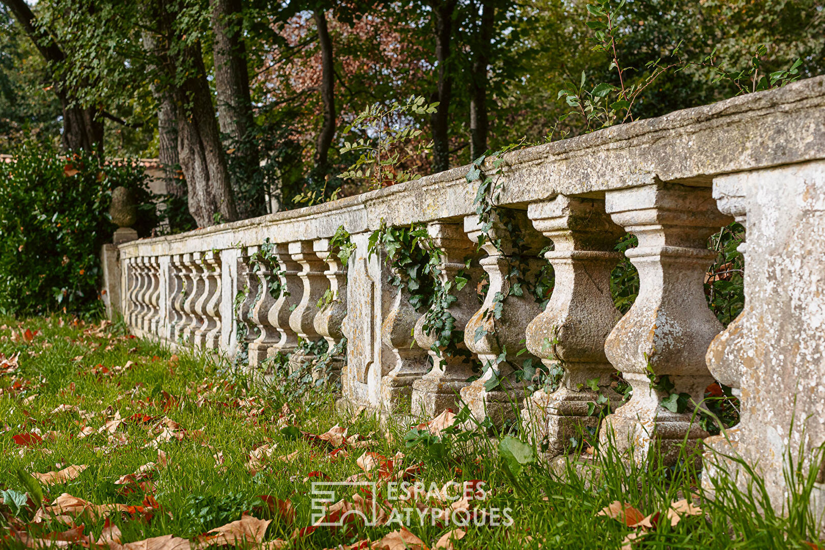 Maison écologique haut de gamme et sa forêt classée