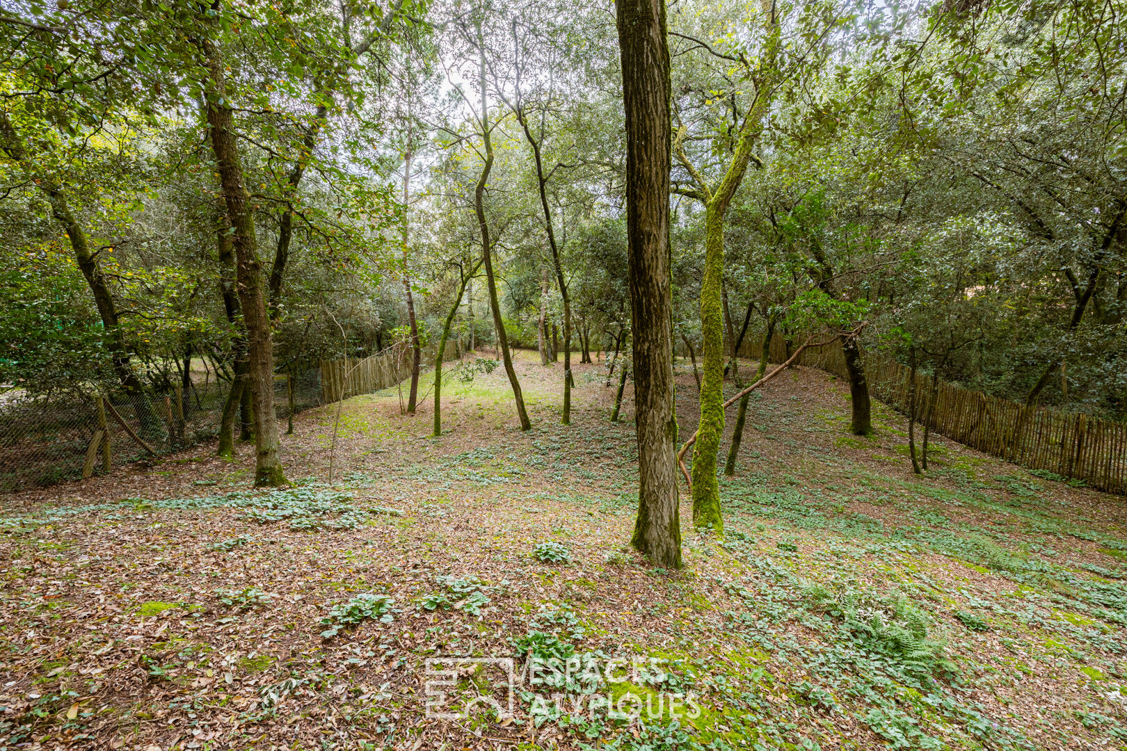 A sixties sublime in its green setting 300m from the beach