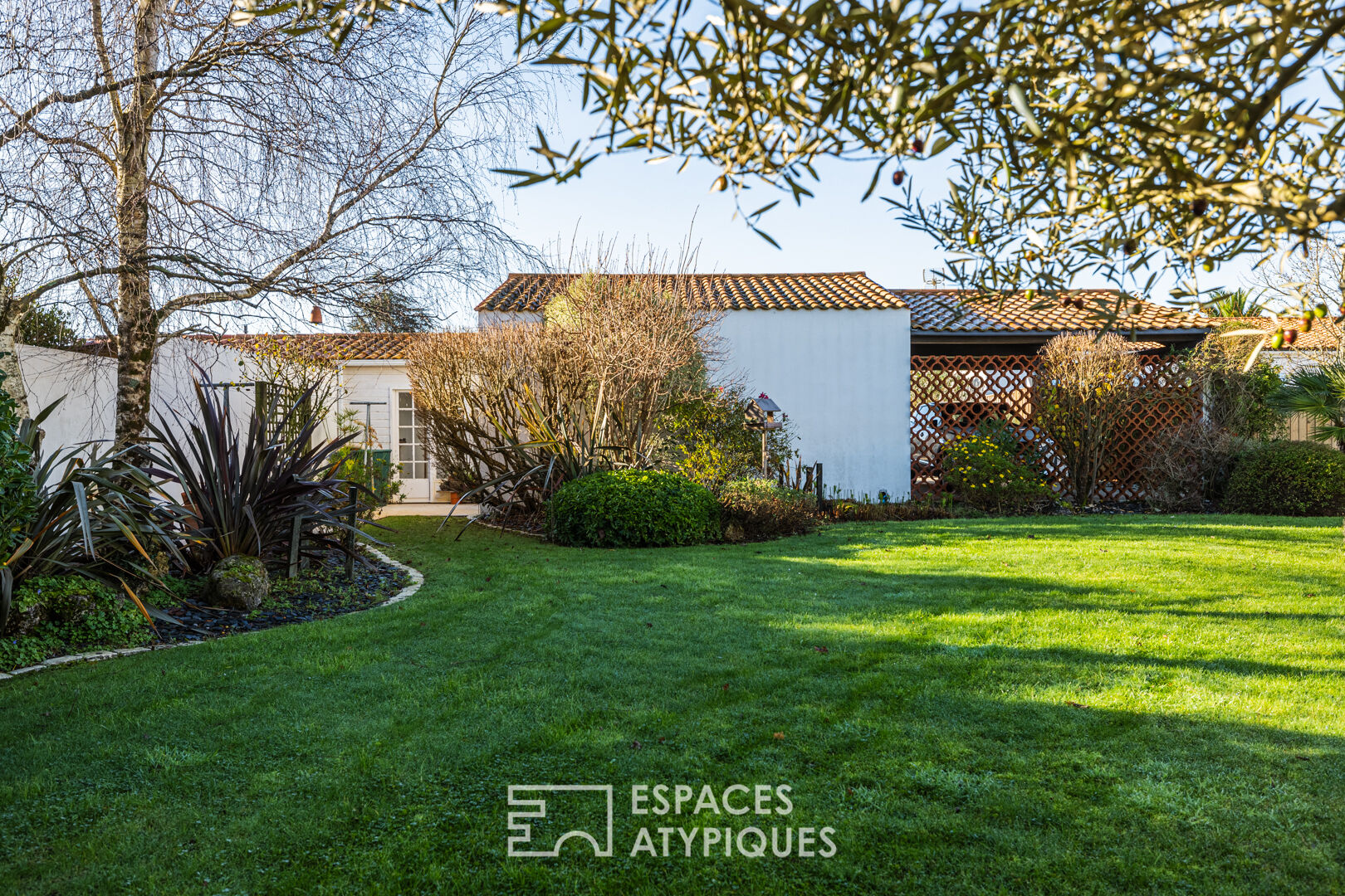 A bright, hidden hideaway in the heart of the city with a tree-filled garden and swimming pool
