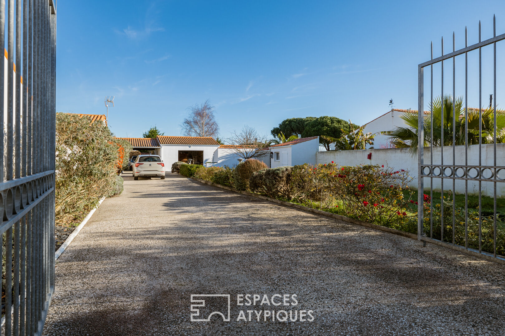 A bright, hidden hideaway in the heart of the city with a tree-filled garden and swimming pool