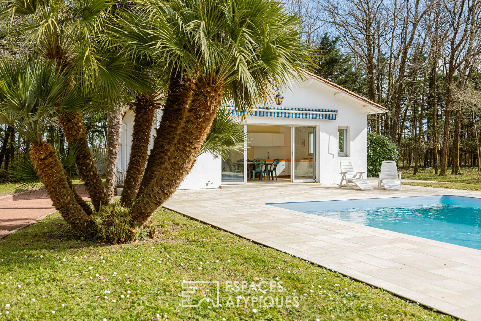 Elegance and serenity in the heart of a wooded estate with swimming pool and pool house