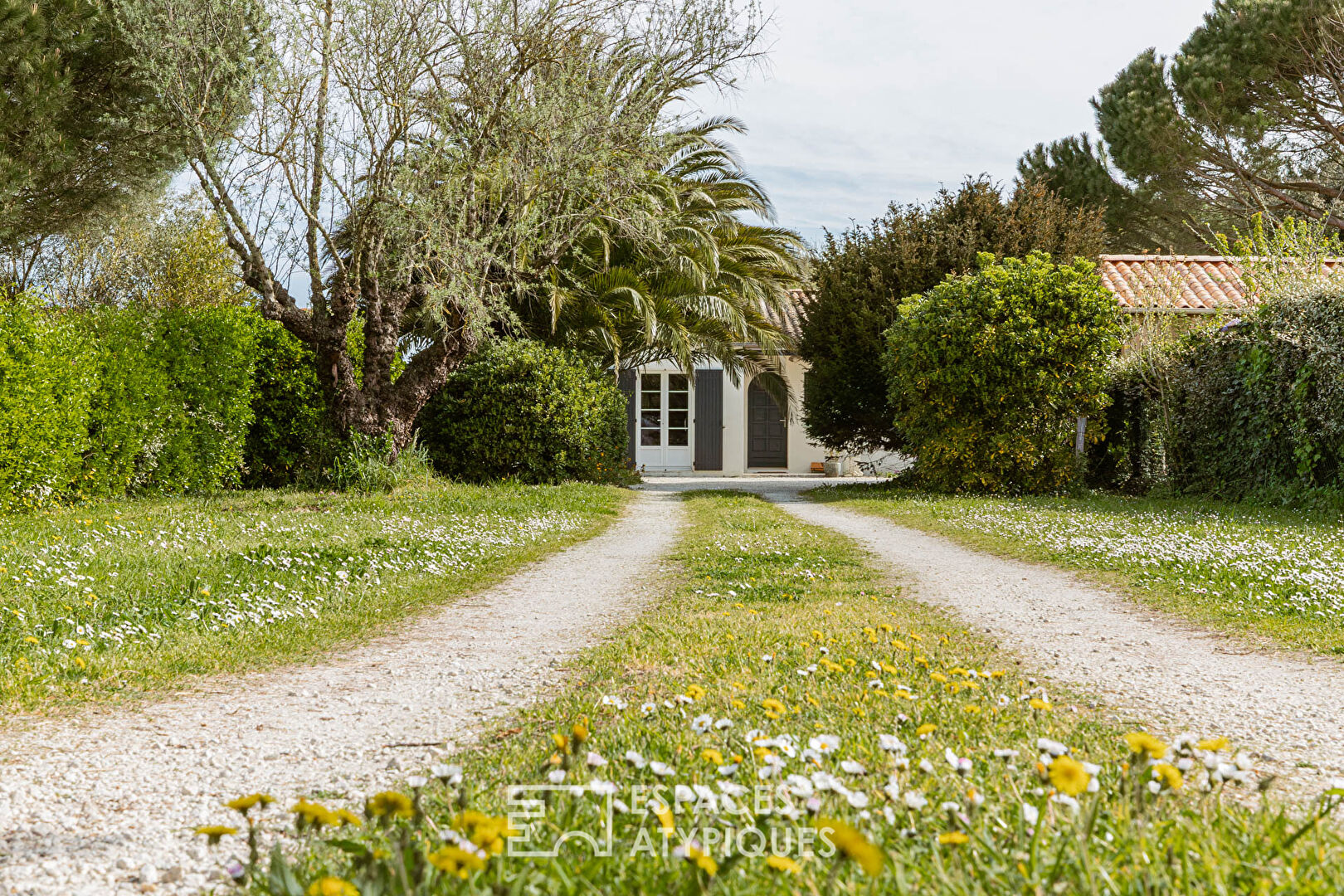 The island sweetness of an Oléronaise woman with a lush garden