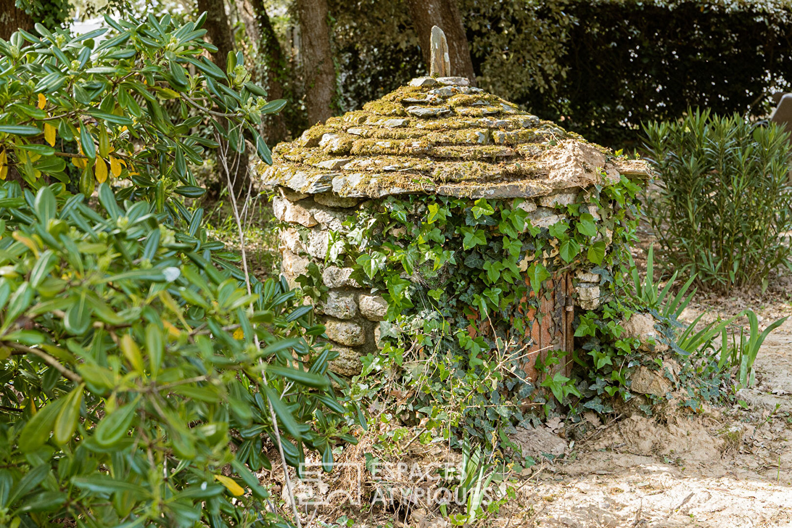 The island sweetness of an Oléronaise woman with a lush garden