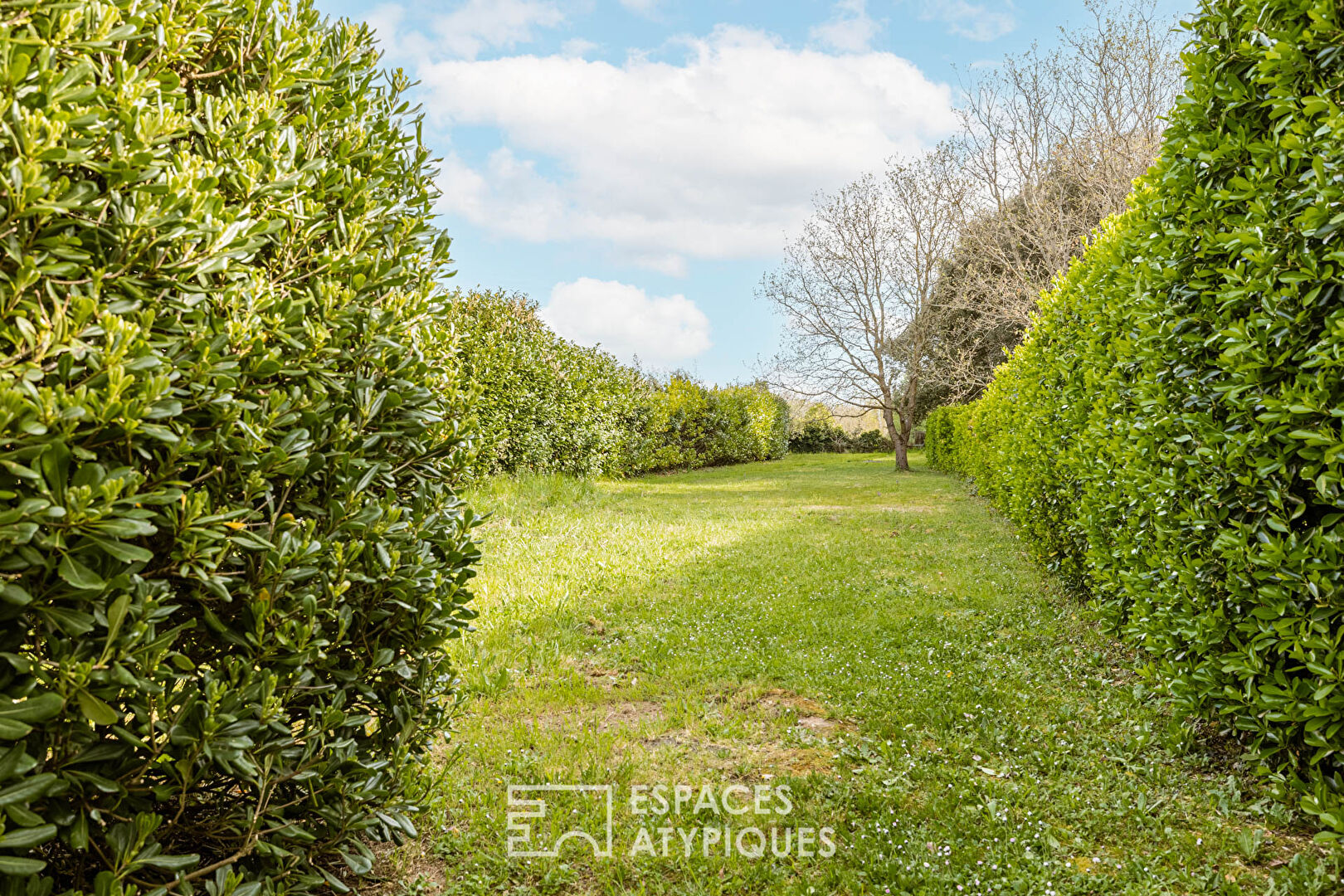 The island sweetness of an Oléronaise woman with a lush garden