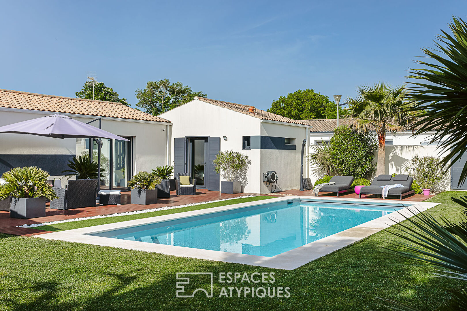 Lumineuse contemporaine au jardin palmeraie avec piscine