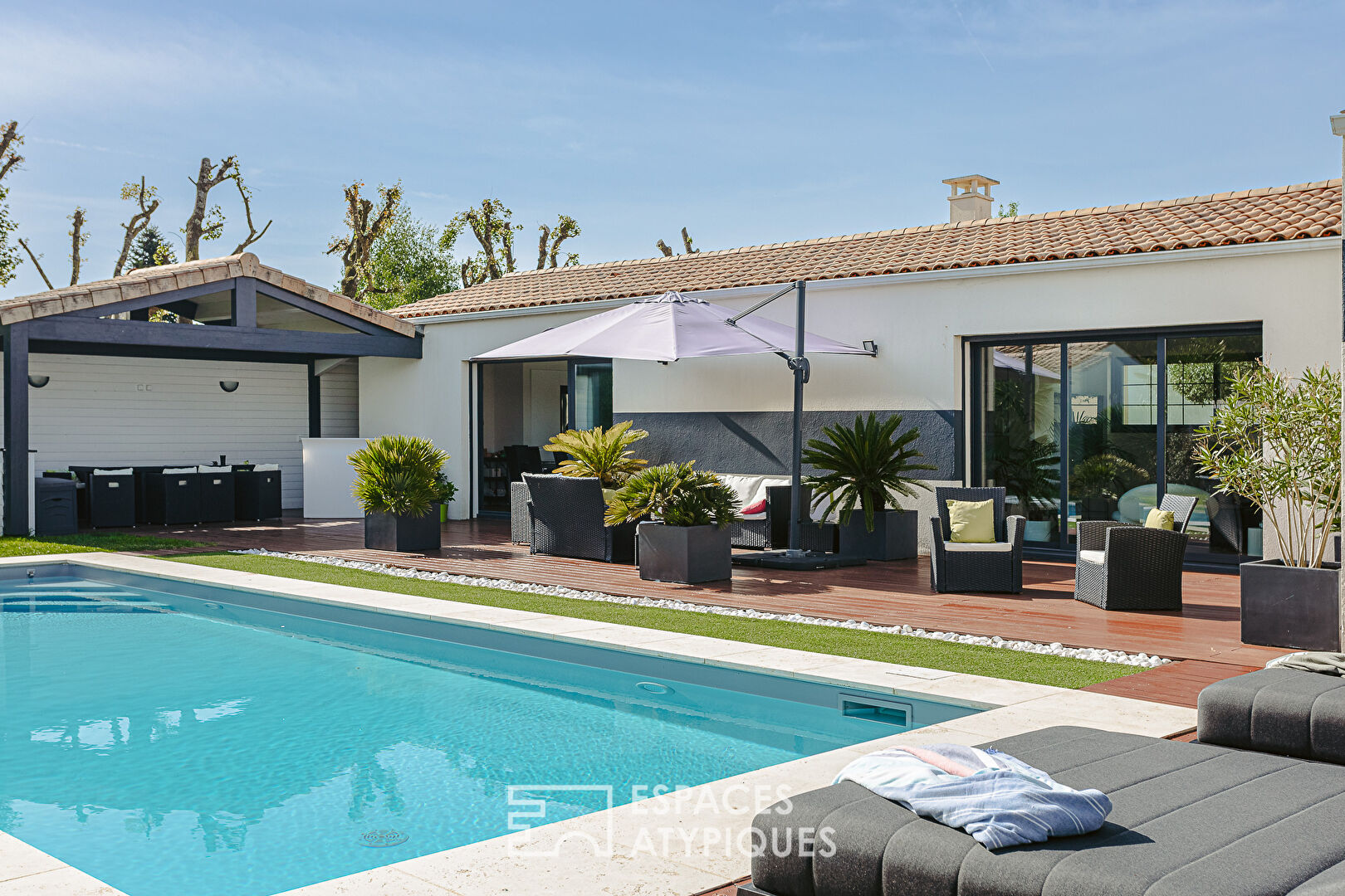 Lumineuse contemporaine au jardin palmeraie avec piscine