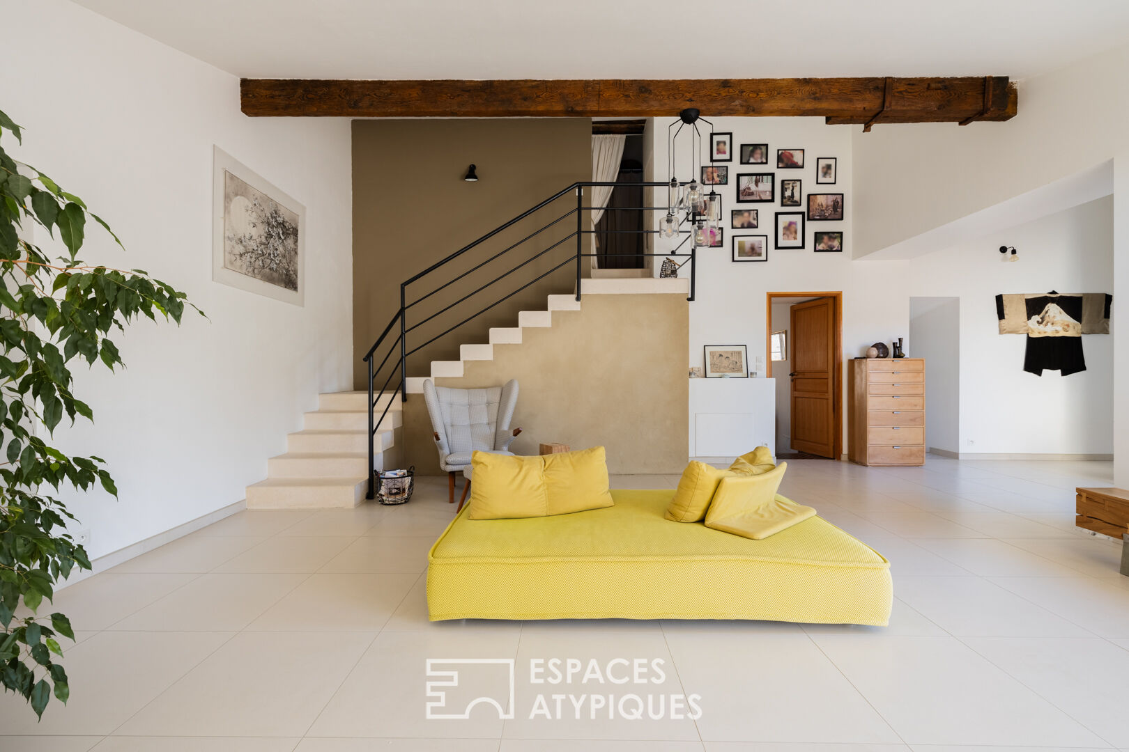 Charente property surrounded by vineyards and its two gîtes