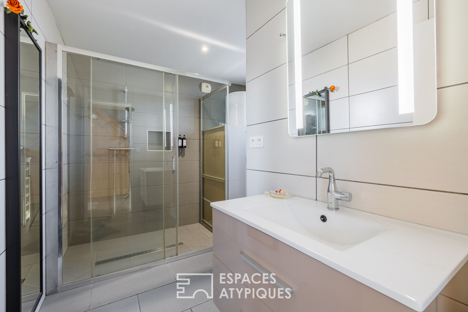 Charente property surrounded by vineyards and its two gîtes